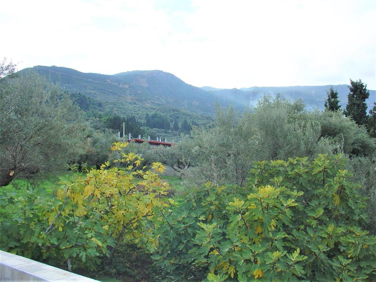 Galini Studios Paralia Platanou Akráta Buitenkant foto